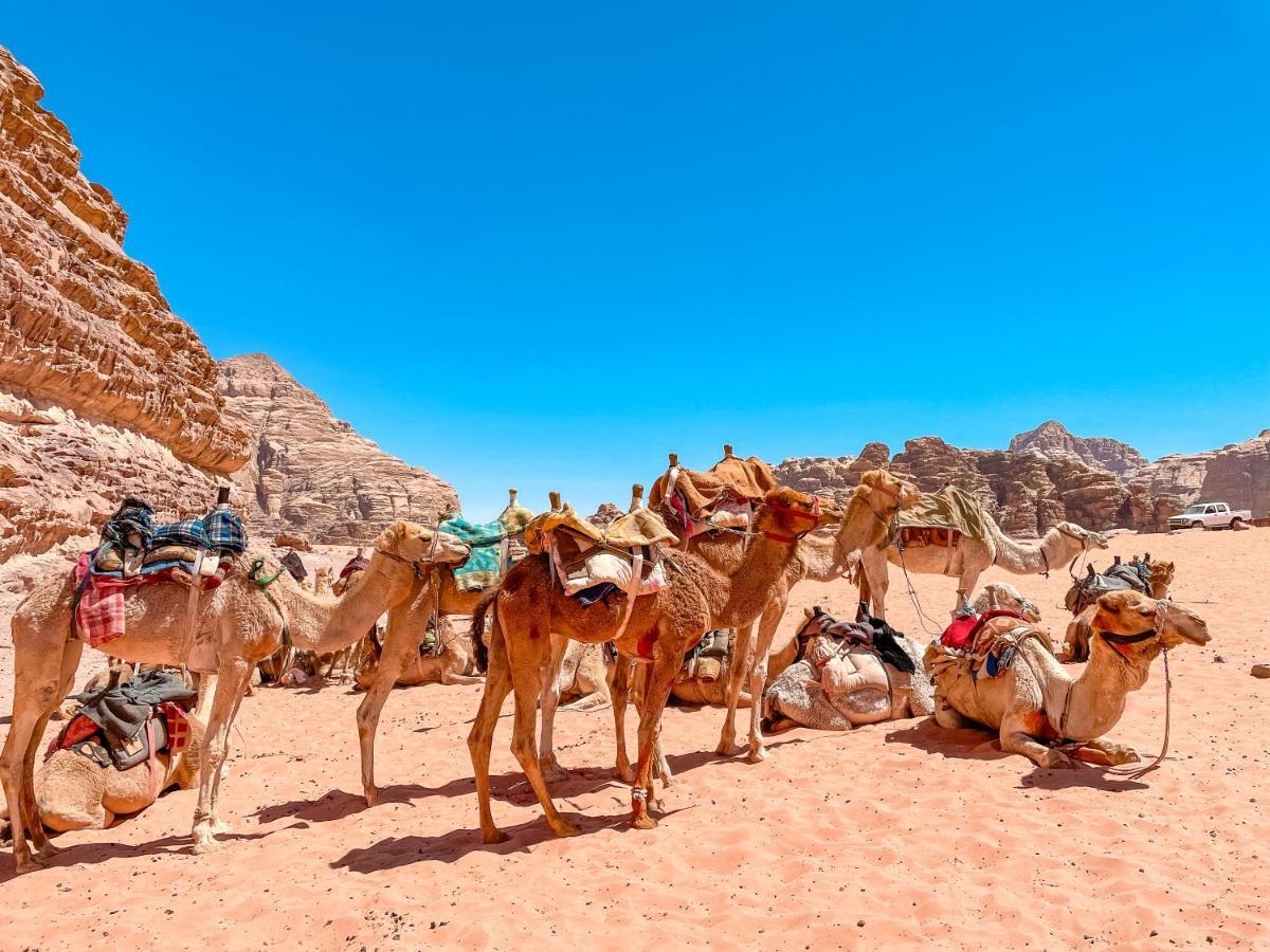 Jordan Camp And Tours